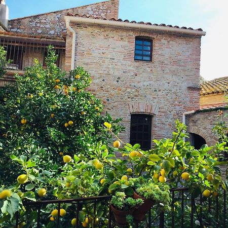 La Vieille Demeure Hotel Torreilles Exterior photo