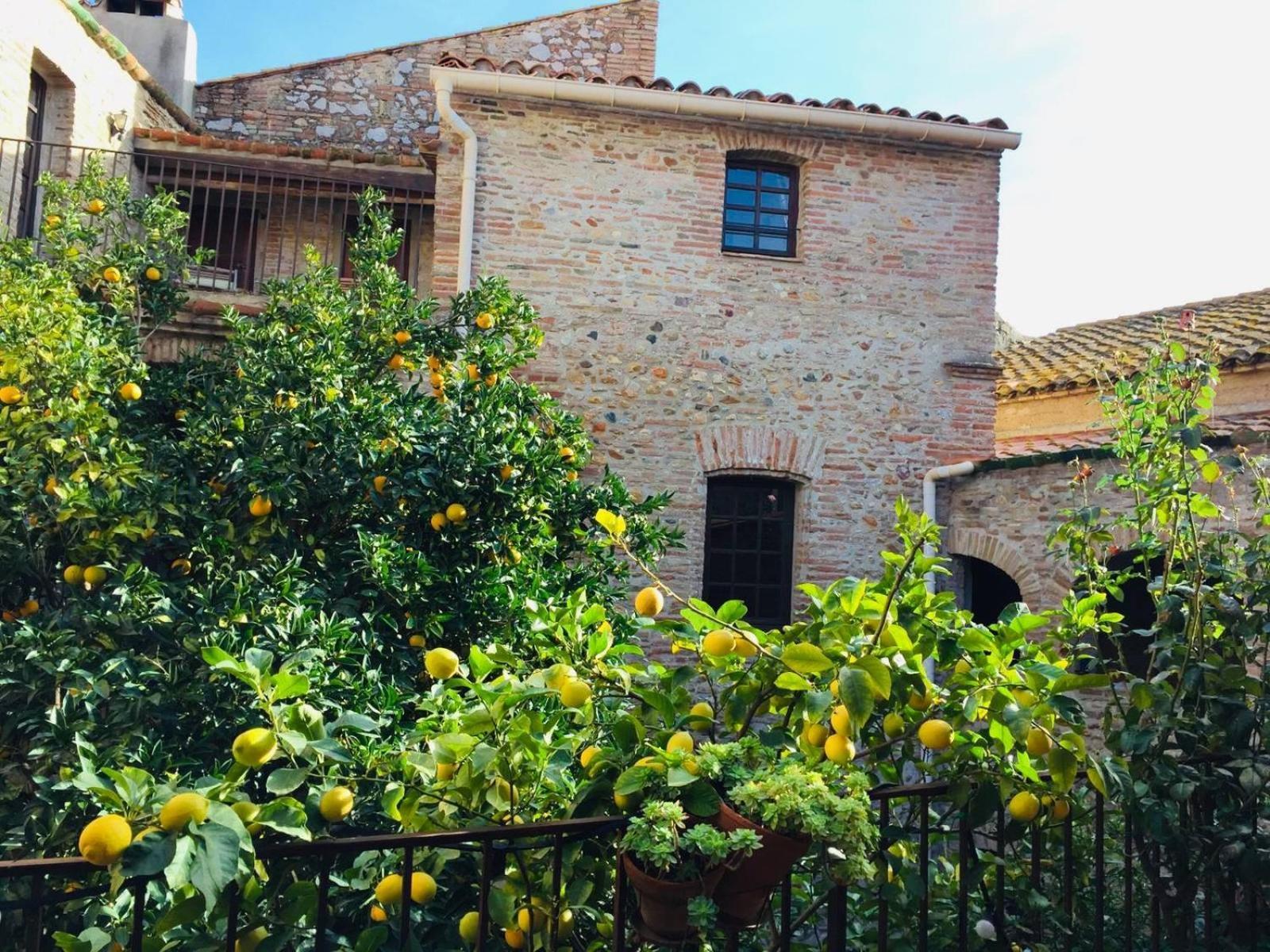 La Vieille Demeure Hotel Torreilles Exterior photo